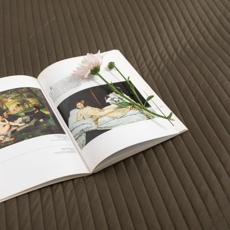 PROVANCE Покрывало стеганое 200*220см, 486-061