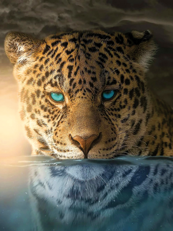 Картина З 12500