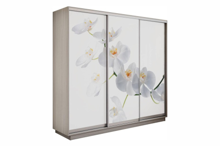Шкаф купе (фотопечать) - 210 Шимо Светлый/Орхидея Белая