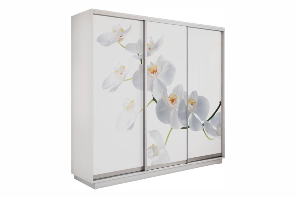 Шкаф купе (фотопечать) - 210 Белый Снег/Орхидея Белая