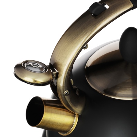 VETTA Чайник стальной 2.7л "Севран", индукция 847-099