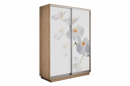 Шкаф купе (фотопечать) - 120 Дуб Сонома/Орхидея Белая