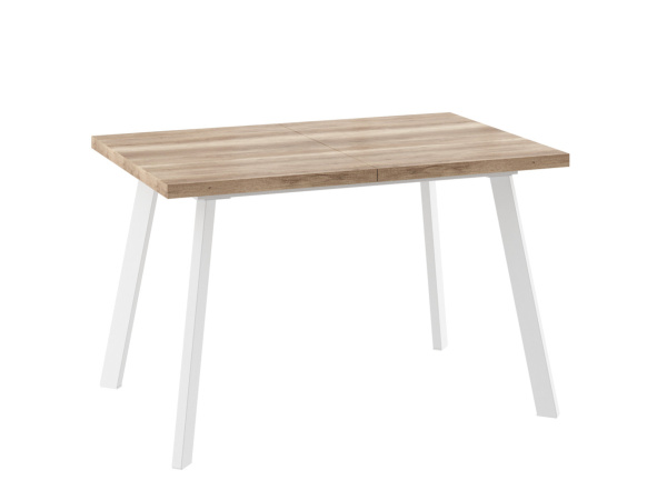 Стол BORG-120, раздвижной 120(160)*80, Дуб каньон/Белый