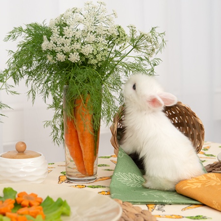 Набор декоративных полотенце 35х60 Радушная хозяйка   (3 шт) Ботаника охра