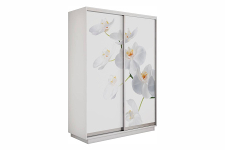 Шкаф купе (фотопечать) - 120 Белый Снег/Орхидея Белая