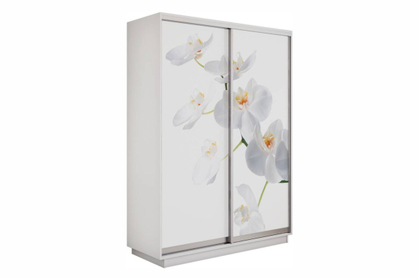Шкаф купе (фотопечать) - 120 Белый Снег/Орхидея Белая