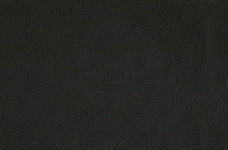 Диван двухместный Chairman АЛЕКТО 1460*850*700 к/з Euroline 9100