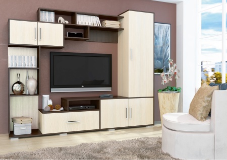 43Г Гостиная ПЕКИН (венге/дуб)