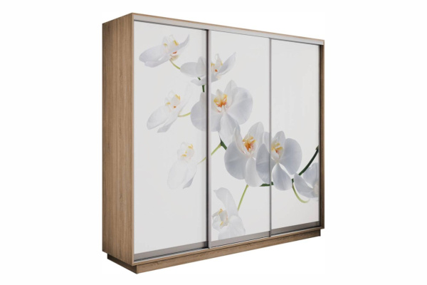 Шкаф купе (фотопечать) - 180 Дуб Сонома/Орхидея Белая