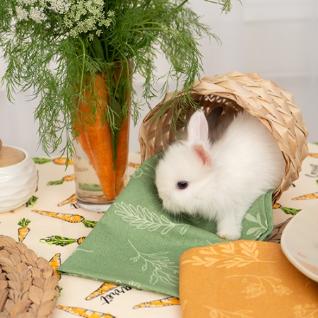 Дорожка декоративная  40х145  "Радушная хозяйка (Традиция)" (Морковки)