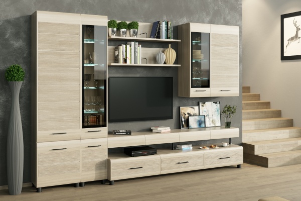 Гостиная "Камелия" Комплектация 2