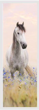 Картина Д 7500