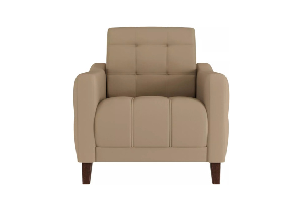 Кресло "Римини" 1 СК (Velutto 05)