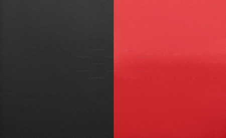 Кресло Chaiman Kids 110 Россия экопремиум  черный/красный